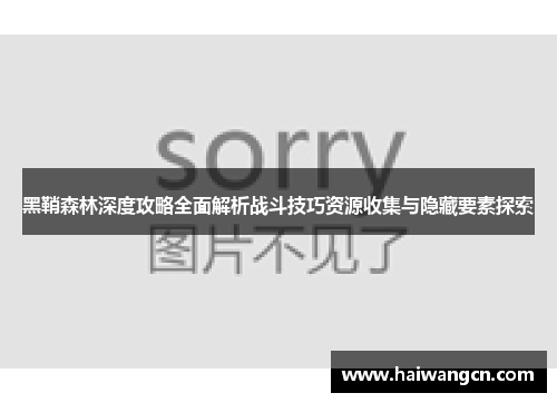 黑鞘森林深度攻略全面解析战斗技巧资源收集与隐藏要素探索